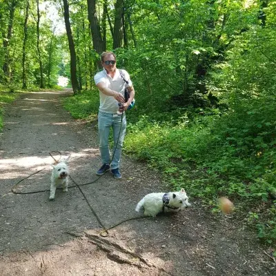 Top 5 Best Toys For Westies : Man playing fetch with a tennis ball with two Westie dogs in the forest