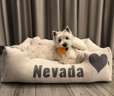 Top 6 Best Dog Beds For Westies