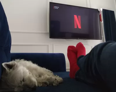 Best Dog Movies for Westie Dogs : Westie dog sleeping on sofa waiting for Netflix movie to start