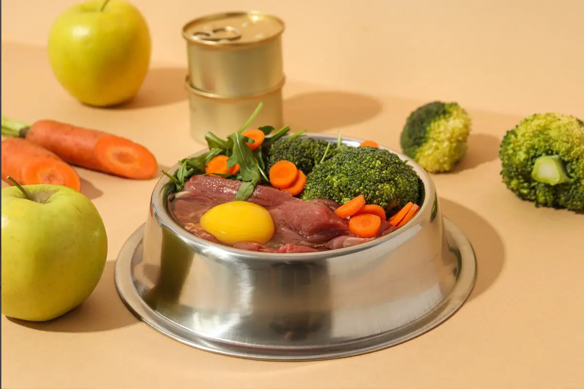 How to Transition Your Dog to a Fresh Food Diet: Tips and Tricks : How to Transition Your Dog to a Fresh Food Diet: Tips and Tricks